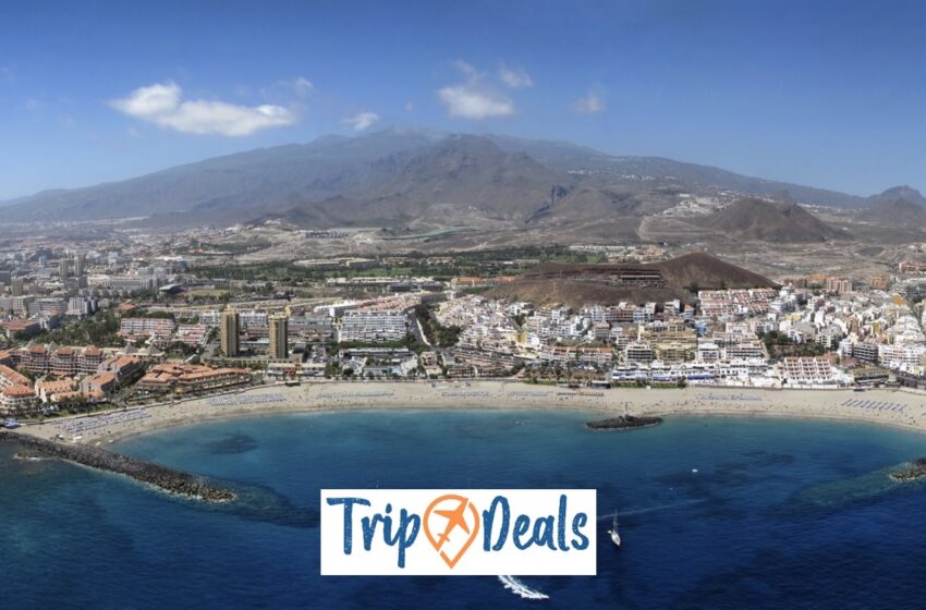  Noiembrie la plajă în Tenerife! Zboruri fără escală din București de la 129 Euro dus-întors!