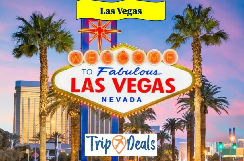  Viva Las Vegas la prețuri accesibile: Zboruri din Paris cu Westjet, de la 392 Euro
